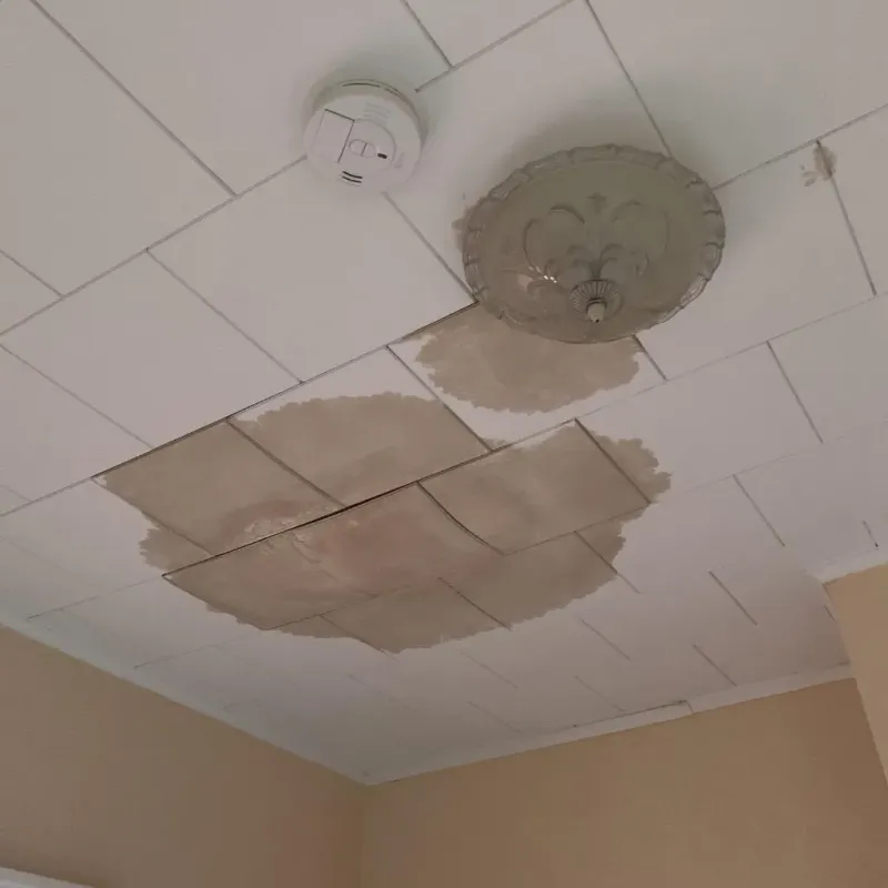 Ceiling Water Damage Repair in Williamsburg, IA
