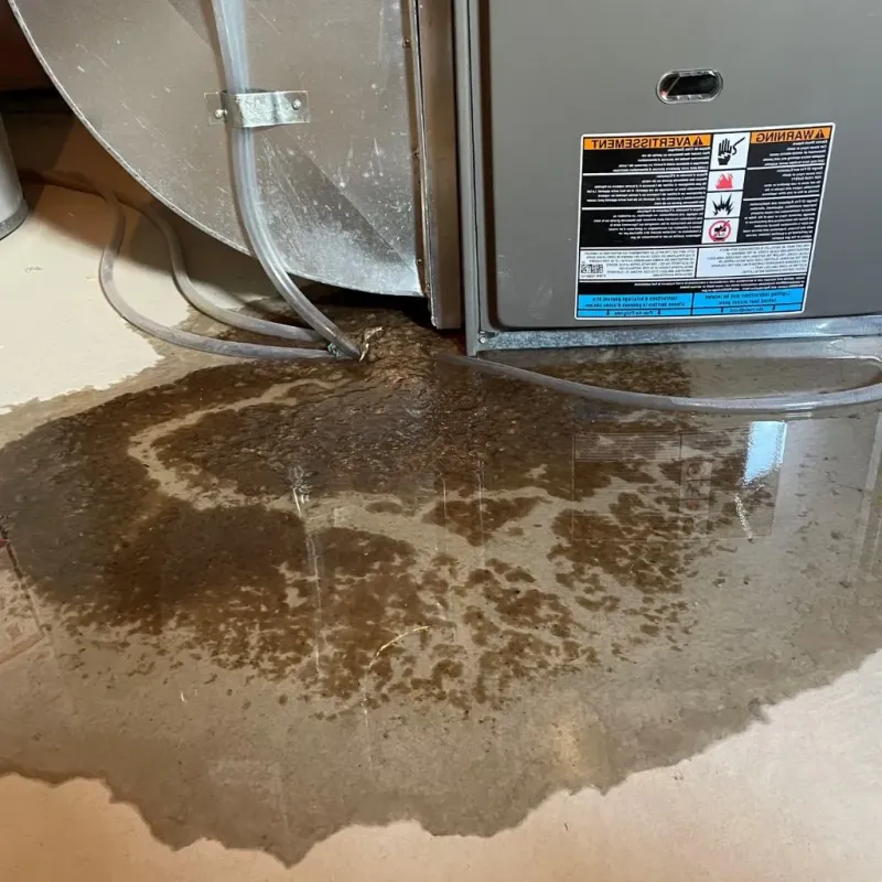 Pipe Burst and Leak Restoration in Williamsburg, IA