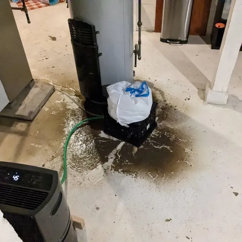 Sewage Backup Cleanup Service in Williamsburg, IA